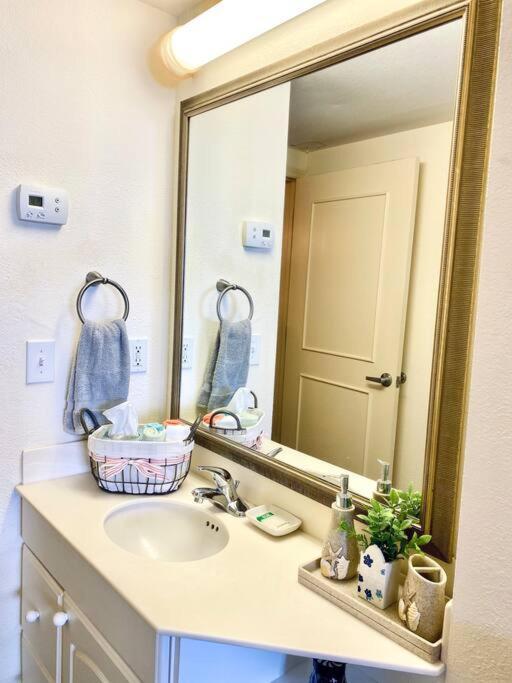 Spectacular Ocean View Apartment Daytona Beach Exterior photo
